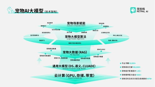 政企共鑒，智啟新程 寵拍檔亮相全國(guó)服務(wù)消費(fèi)季特色成果展，技術(shù)咨詢服務(wù)引發(fā)關(guān)注